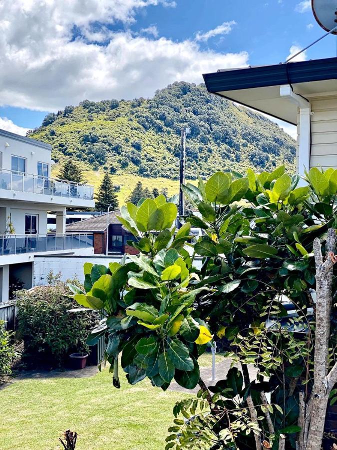 Sea Breeze 3 Bedroom Apartment Mount Maunganui Kültér fotó